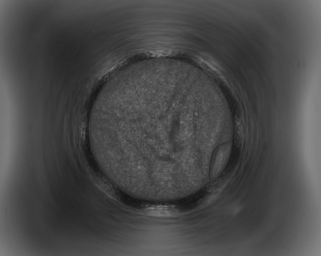 X0000084570499200703231824