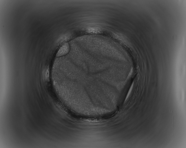 X0000084570502200703231824