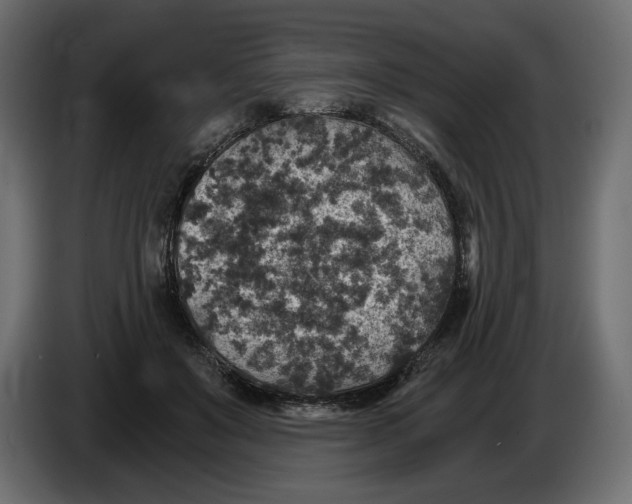 X0000084570503200703231824