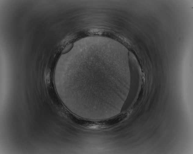 X0000084570504200703231824