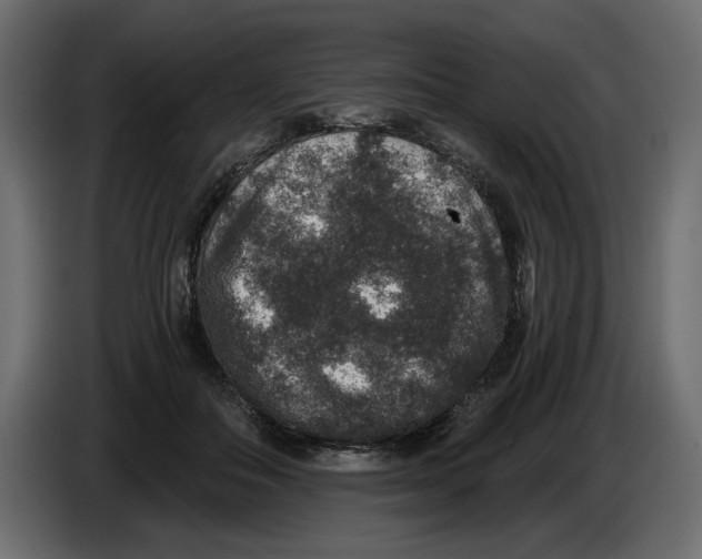 X0000084570506200703231824