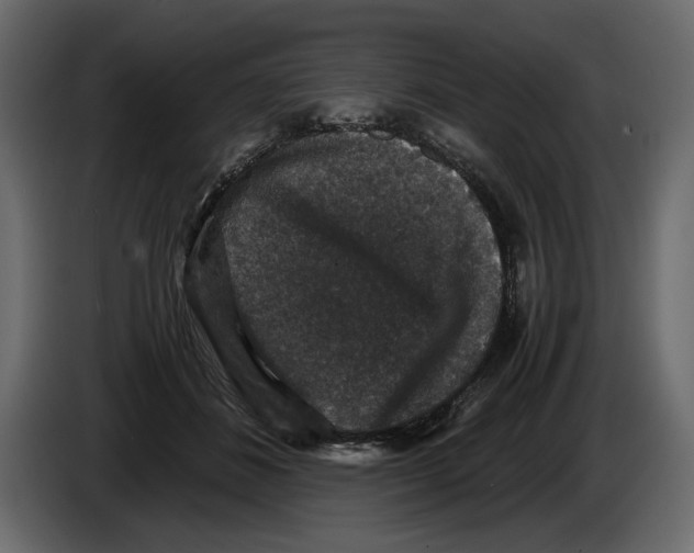 X0000084570508200703231824