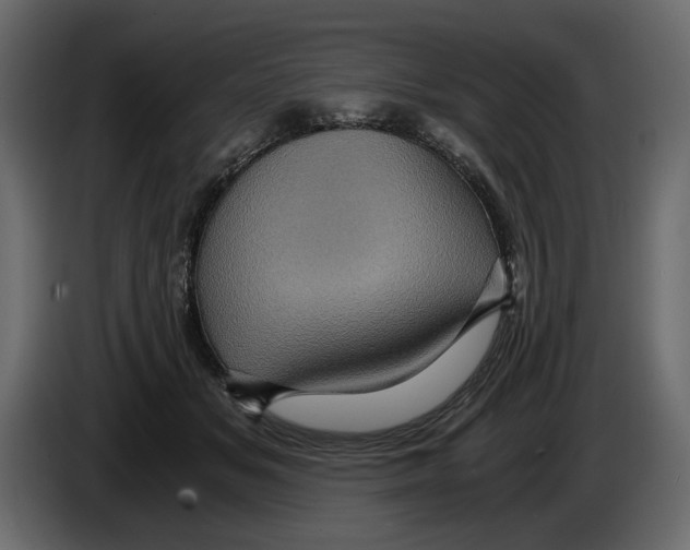 X0000084570509200703231824