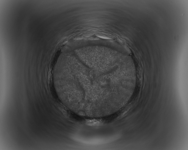 X0000084570511200703231824