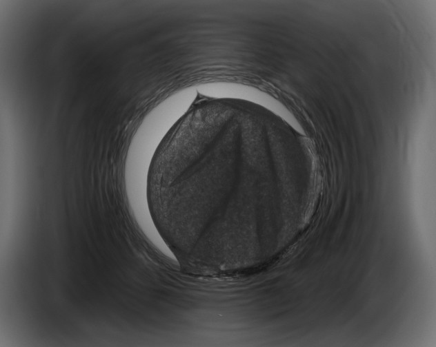 X0000084570512200703231824