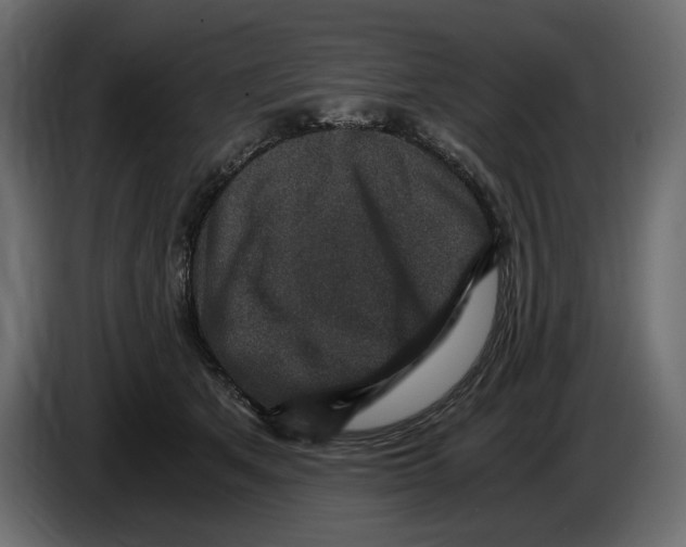 X0000084570513200703231824