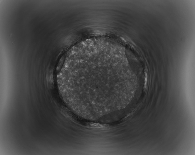 X0000084570516200703231824