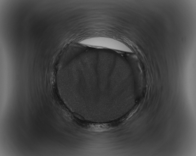 X0000084570517200703231824