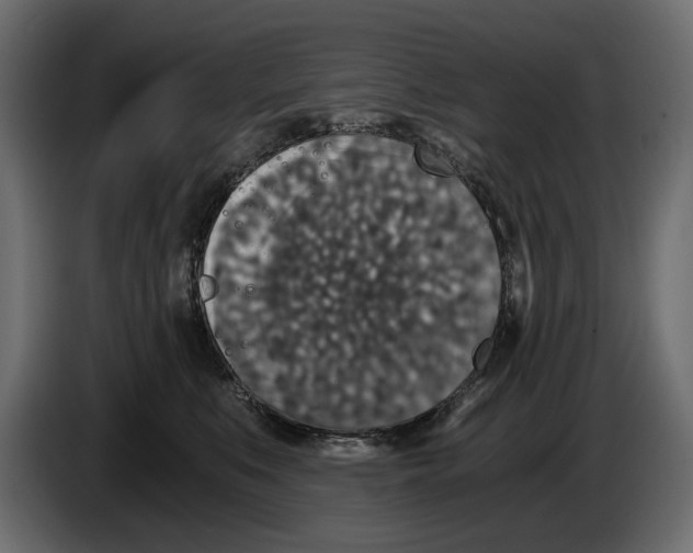 X0000084570519200703231824