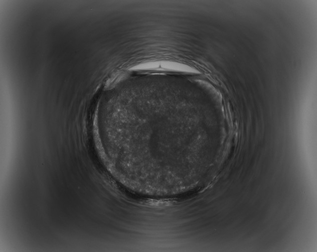 X0000084570520200703231824