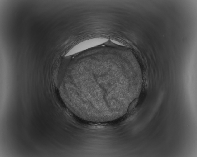 X0000084570523200703231824