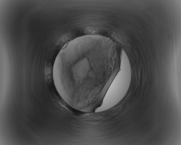 X0000084570526200703231824