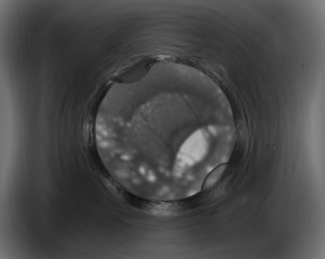 X0000084570527200703231824