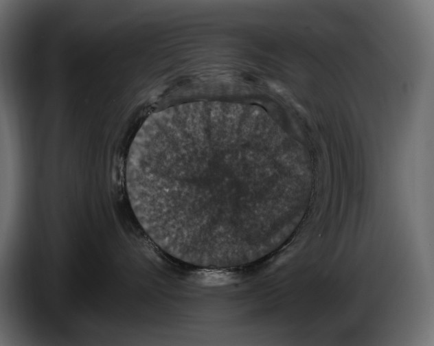 X0000084570528200703231824