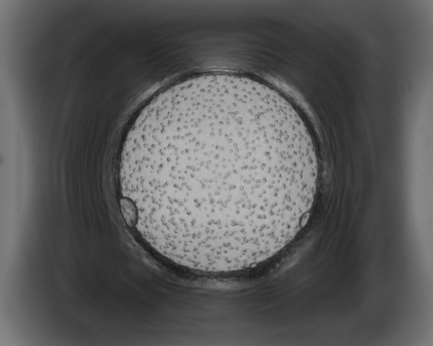 X0000084570529200703231823