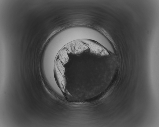 X0000084570530200703231823