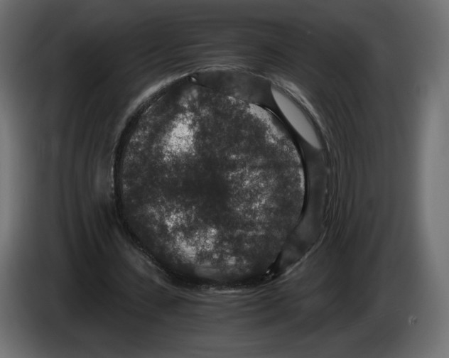 X0000084570531200703231823