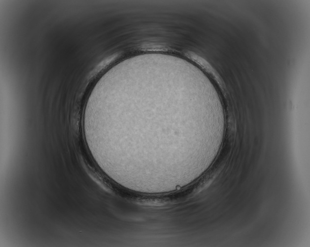 X0000084570533200703231823