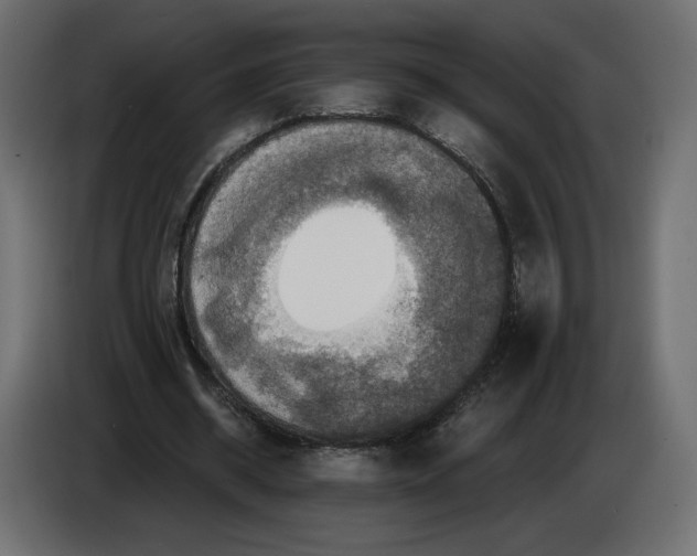 X0000084570534200703231823