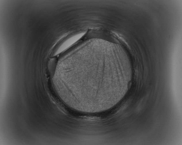 X0000084570539200703231823