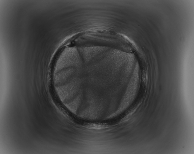 X0000084570540200703231823