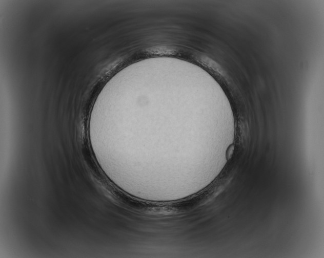 X0000084570541200703231823