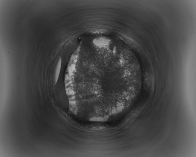 X0000084570547200703231824