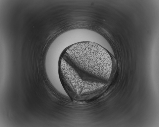 X0000084570552200703231824