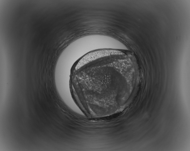 X0000084570556200703231824