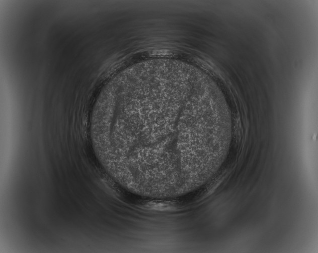 X0000084570557200703231824