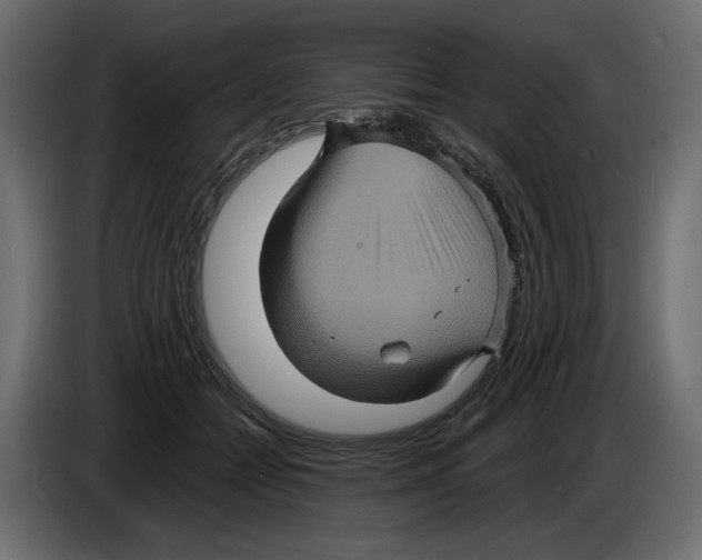 X0000084570558200703231824