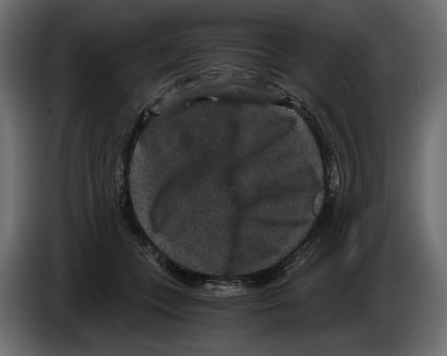 X0000084570559200703231824