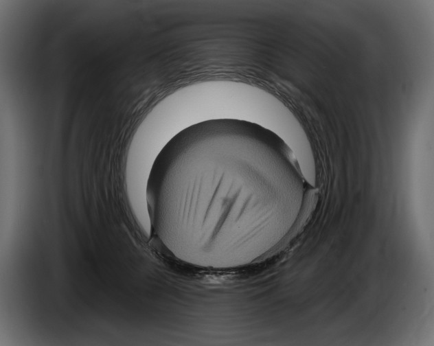 X0000084570560200703231824