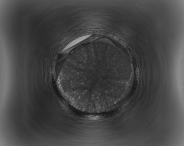 X0000084570570200703231824