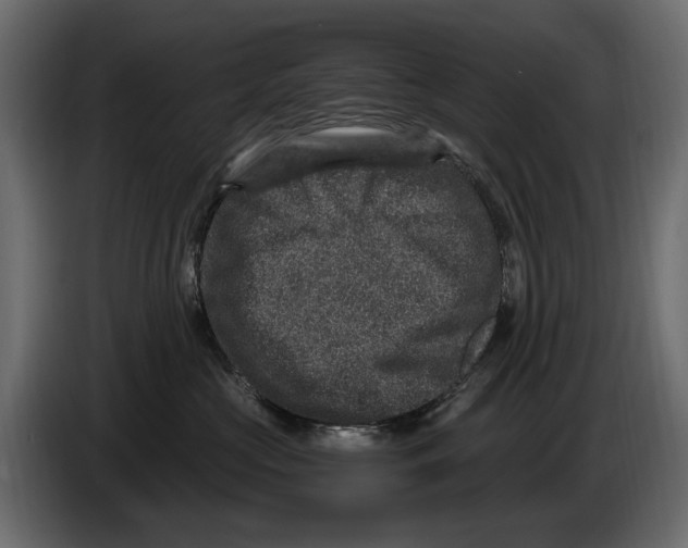 X0000084570573200703231824