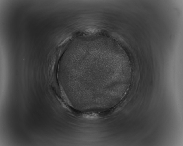 X0000084570576200703231824