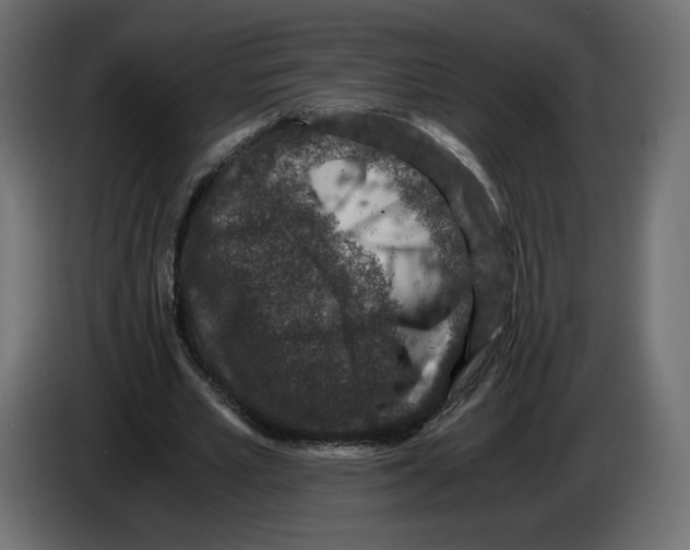 X0000084570581200703231823