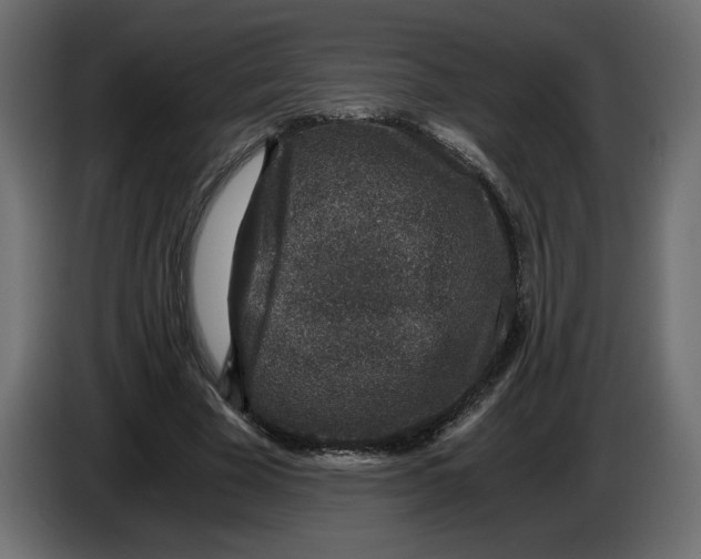 X0000084570585200703231823