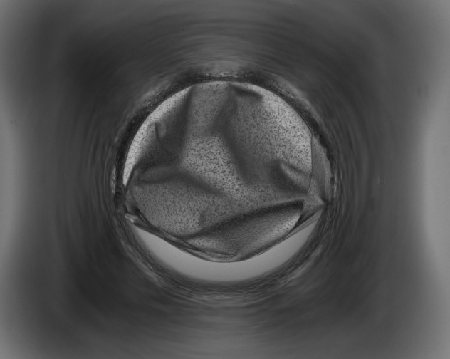 X0000084570589200703231823