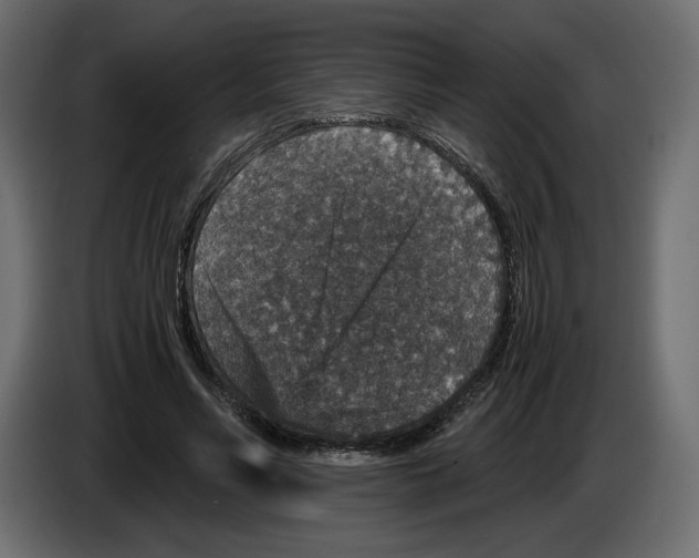 X0000084570590200703231823