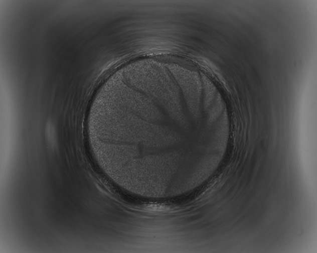 X0000084570596200703231823