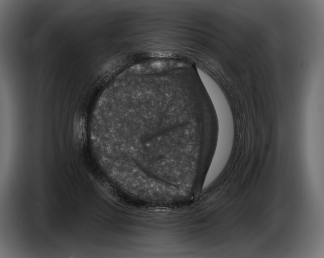 X0000084570598200703231823