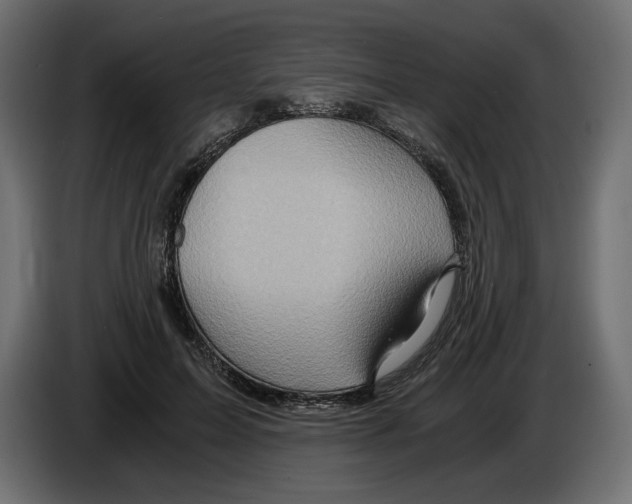 X0000084570599200703231823