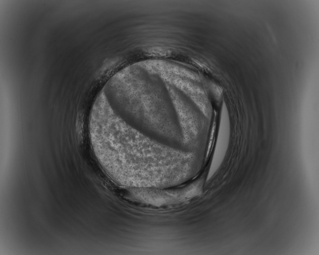 X0000084570600200703231823