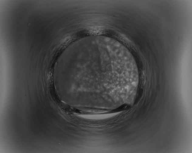 X0000084570601200703231823