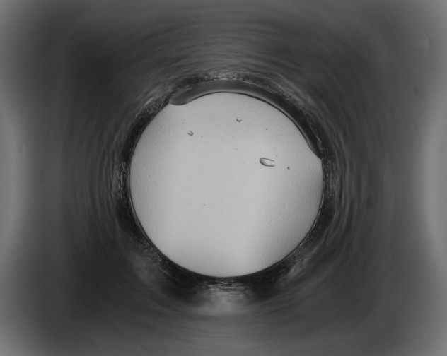 X0000084570603200703231823