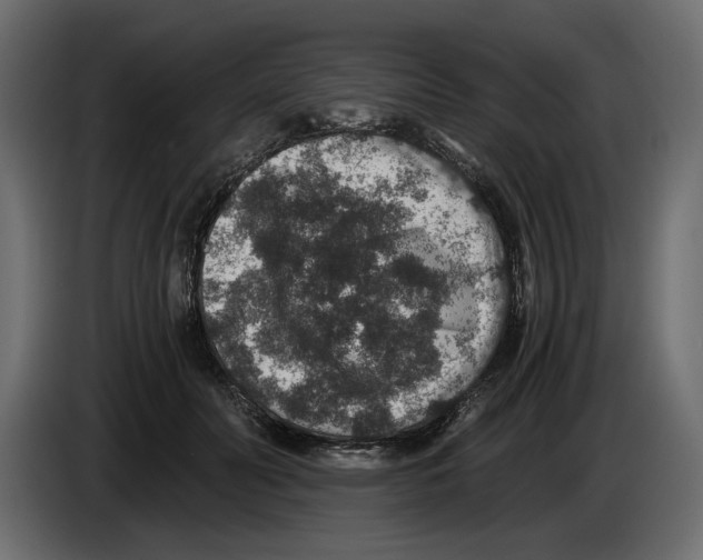 X0000084570606200703231823