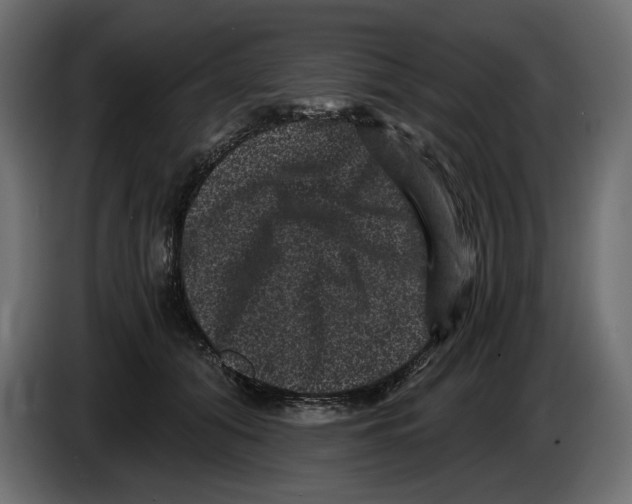 X0000084570608200703231823