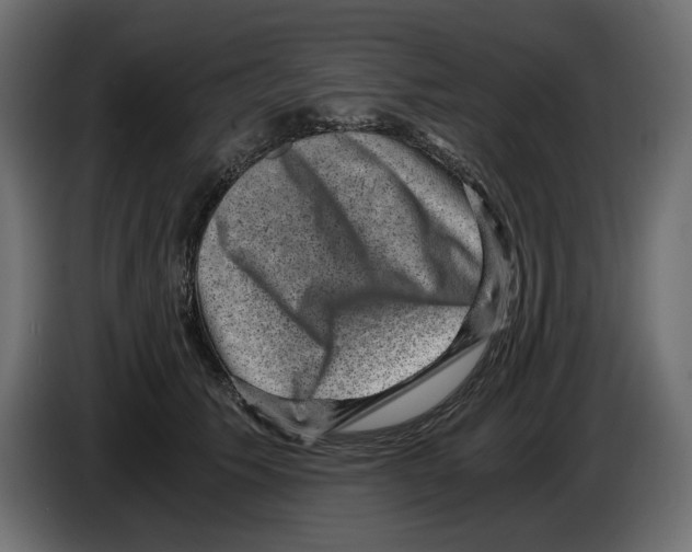 X0000084570609200703231823