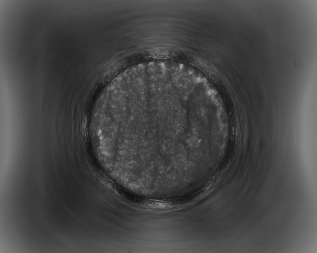 X0000084570610200703231823